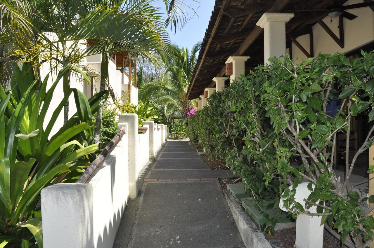 Tropical Gardens And Coco
