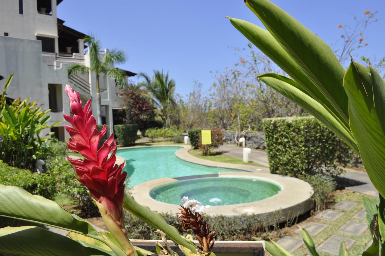 Tropical Gardens And *